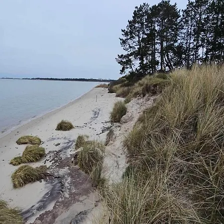 6 Person In Romo-by Traum *