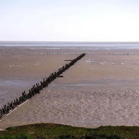 6 Person In Romo-by Traum